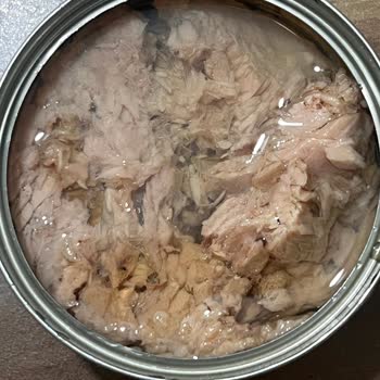 Superfresh Ton Balığında Kötü Koku Ve Bozukluk Sağlığımı Riske Attı