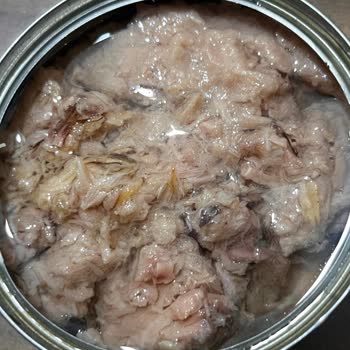 Superfresh Ton Balığında Kötü Koku Ve Bozukluk Sağlığımı Riske Attı