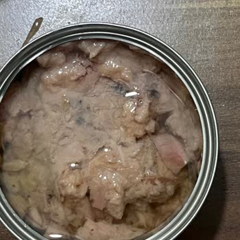 Superfresh Ton Balığında Kötü Koku Ve Bozukluk Sağlığımı Riske Attı