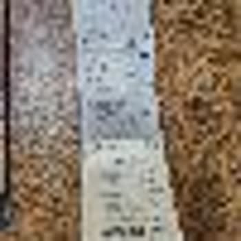 Forelli Ayakkabı Sağlık Sorunlarına Yol Açan Ayakkabı ve Çözüm Sunmayan Firma