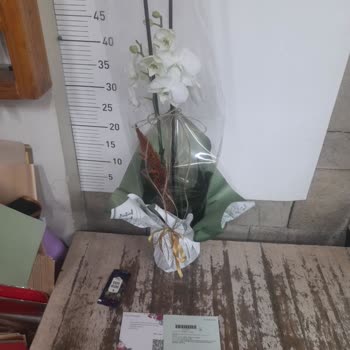 Çiçek Sepetinde Görseldeki Ürün Gelmedi Müşteri Hizmetlerine Ulaşamıyorum