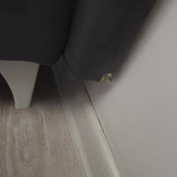 Yırtılan Başlık Nedeniyle Mağduriyetimin Giderilmesini İstiyorum