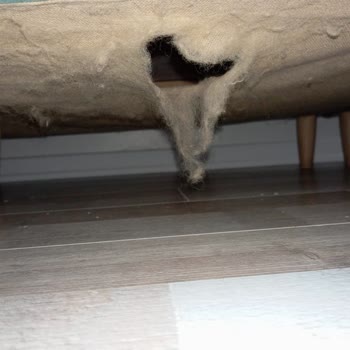 Tüketici Hakem Heyeti Kararına Rağmen Koltuk Değişimi Yapılmıyor