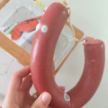 Son Kullanma Tarihi Geçmemiş Maret Sucukta Yoğun Küf Oluşumu Ve Sağlık Riski