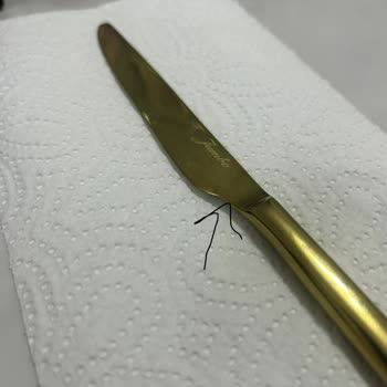 Jumbo'dan Aldığım Ürünlerde Tekrarlayan Kalite Sorunu ve Yetersiz Destek