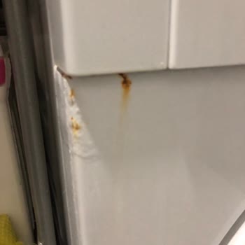 Arçelik Çamaşır Makinesinde Kısa Sürede Paslanma Ve Boya Dökülmesi Nedeniyle Hayal Kırıklığı Ve Müşteri Memnuniyetsizliği