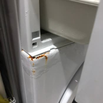 Arçelik Çamaşır Makinesinde Kısa Sürede Paslanma Ve Boya Dökülmesi Nedeniyle Hayal Kırıklığı Ve Müşteri Memnuniyetsizliği