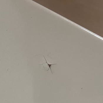 Yeni Alınan Konsol Ve Zigon Sehpasında Garanti Kapsamında Çatlak Ve Kabarma Sorunu İle Servis Gecikmesi