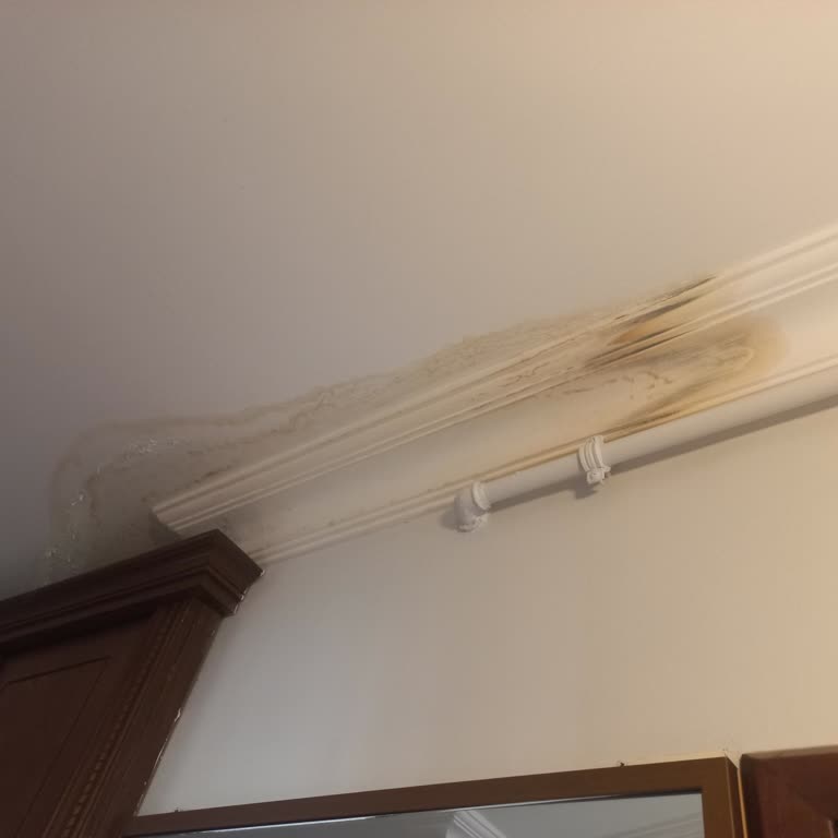 Defolu Çamaşır Makinesi Satışı Ve Geciken Değişim Nedeniyle Mağduriyet