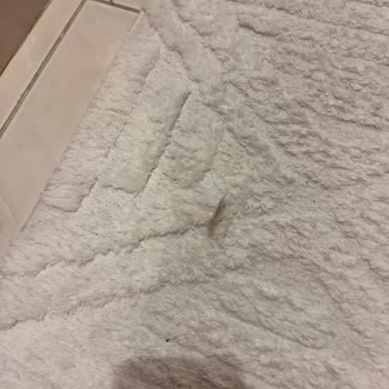 Roborock S8 Maxv Ultra: Yetersiz Performans ve Servis Desteği Hayal Kırıklığı