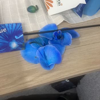 Heryerbitki Orkide Siparişim Hasarlı Geldi, Ücret İadem Bir Ayı Aştı