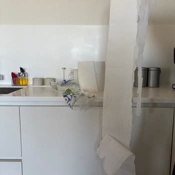 Solo Kağıt Havlu Rulosunda Beklenmedik Kalite Sorunu: Parçalı Ve Kullanılamaz Ürün