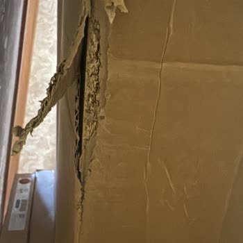 IKEA Teslimatta Hasarlı Ürün ve Yetersiz Müşteri Hizmeti Nedeniyle Mağduriyet