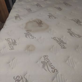 Bambi Serenty Yatakta Yağlı Leke Sorunu Ve Yetersiz Servis Desteği