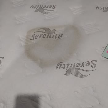 Bambi Serenty Yatakta Yağlı Leke Sorunu Ve Yetersiz Servis Desteği