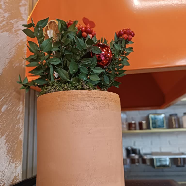 Görseldekiyle Uyuşmayan Saksı Hayal Kırıklığı Yarattı