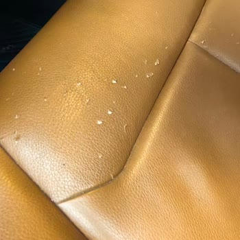 Servis Sonrası Aracımın Arka Koltukları Hasarlı Teslim Edildi Açıklama Yapılmadı