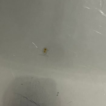 Yeni Aldığım Eviyede 3 Günde Paslanma Ve Çizilme Oluştu