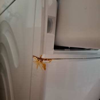 Bosch Serie 4 Çamaşır Makinesi: Kazan Değişimi Sonrası Hızlı Paslanma Ve Ürün Değişim Talebi