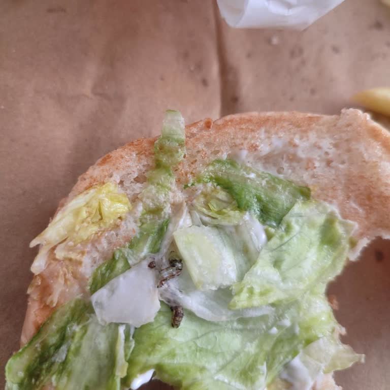 Burger King Siparişimde Kurt Çıktı, Hijyen Ve İletişim Sorunları Mağduriyet Yarattı