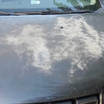 8 Yıllık Sandero Stepway Aracımda Yaygın Güneş Yanığı Ve Boya Sorunu, Çözüm Bekliyorum