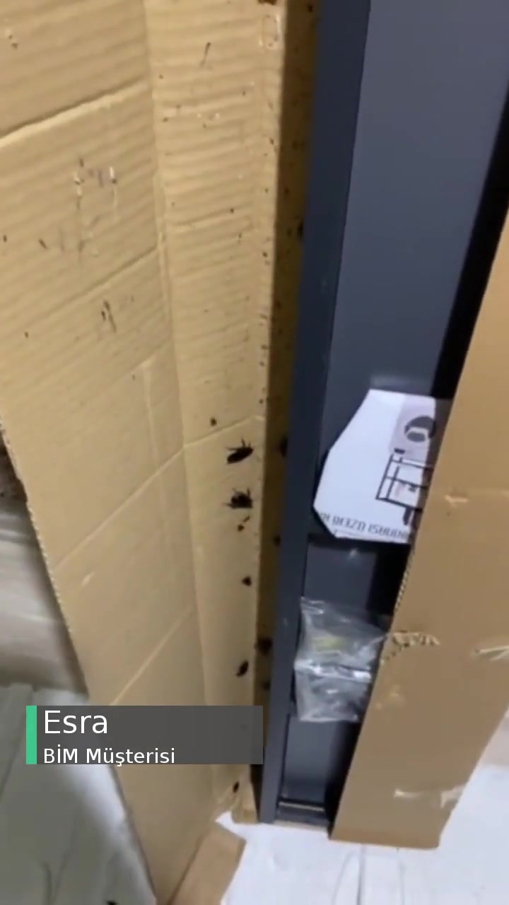 BİM Aldığım Ürünün İçinde Böceklerin Çıkması! videonun kapak resmi