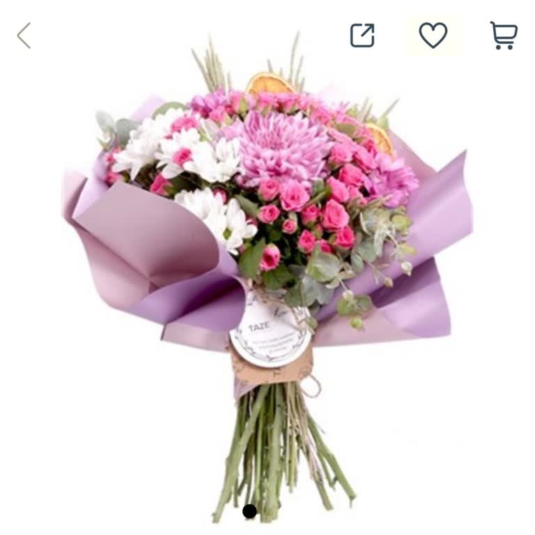 Sipariş Görsele Uygun Olmadan Gönderildi, İade Taleplerim Dikkate Alınmadı