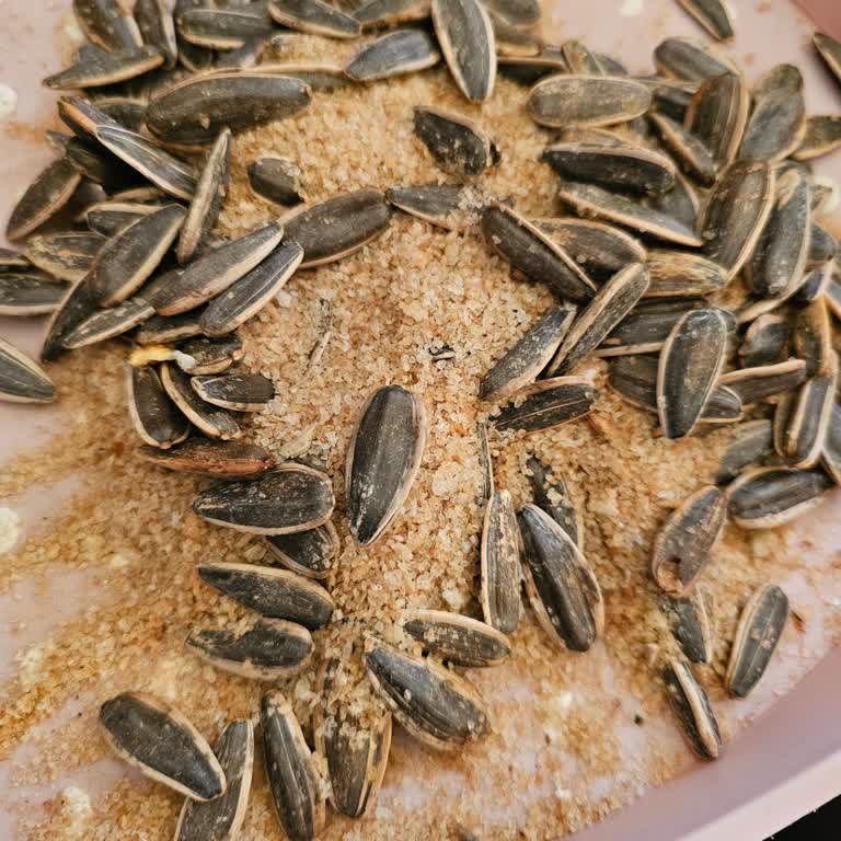 Çitlekçi Çekirdeklerinde Aşırı Tuz Sorunu Ve Kalite Kontrol Eksikliği