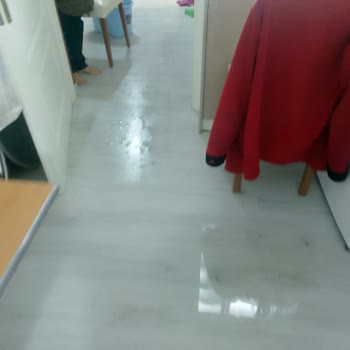 Konut Sigortasında Su Baskını Teminatı Kapsamında Hasarımın Karşılanmaması Ve Yetersiz Ödeme Teklifi