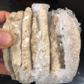 Tarım Kredi Marketten Aldığım Hamburger Köftesi Buz Tutmuş Ve Grileşmiş Halde Çıktı