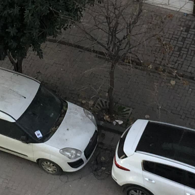 İnternetim 4 Gündür Kesik, Altyapı Sorunu Çözülemiyor: Kalıcı Çözüm Ve Mağduriyetimin Giderilmesini İstiyorum