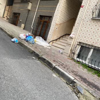 Akasya Sokak’ta Çöp Konteyneri Eksikliği Ve Çevre Kirliliği