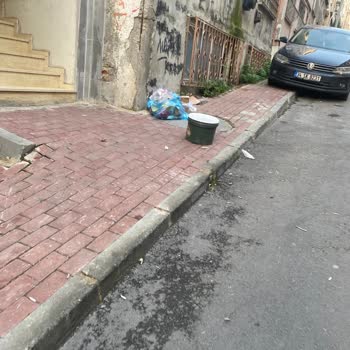 Akasya Sokak’ta Çöp Konteyneri Eksikliği Ve Çevre Kirliliği