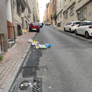 Akasya Sokak’ta Çöp Konteyneri Eksikliği Ve Çevre Kirliliği