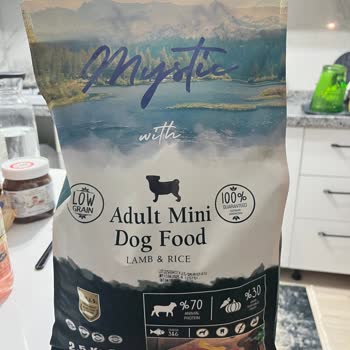 Küflü Mama Ve İlgisiz Müşteri Hizmetleri Güvenimi Sarstı