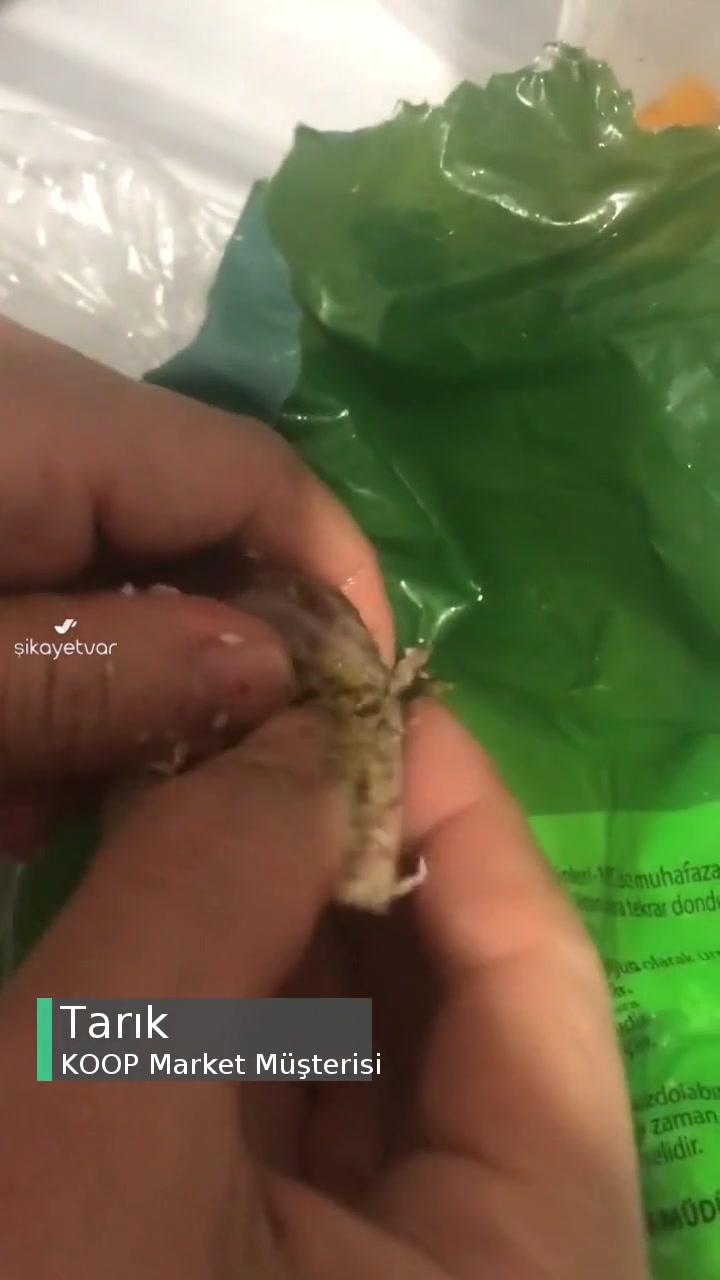 Koop Market Tavuk Skandalı! videonun kapak resmi