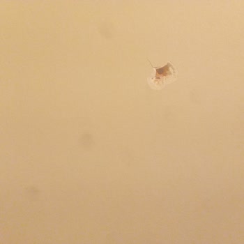 Çetmen Mobilya Geciken Teslimat Ve Hatalı Montaj Sonucu Mağduriyet