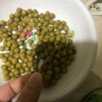 Vatan Markalı Konservelerde Hijyen Ve Kalite Sorunları Endişe Veriyor