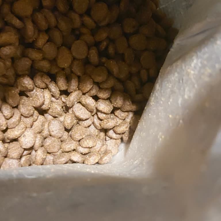 Bozuk Kedi Maması Ve Haksız İade Reddi: Satıcı Ve N11’den Hayal Kırıklığı