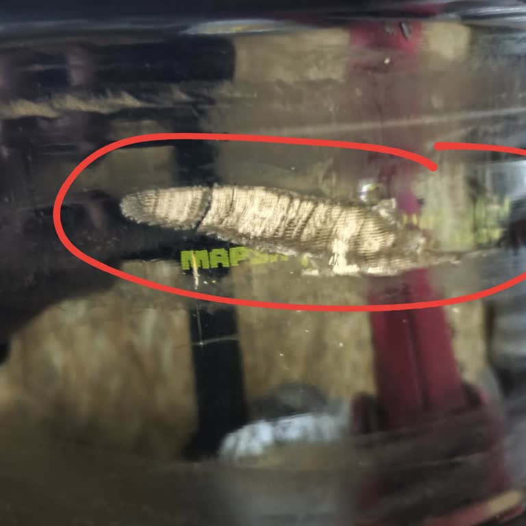 Sıfır Opel Combo Life Aracımın Jantlarında Teslimat Sonrası Tespit Edilen Hasar Ve Güvenlik Endişesi