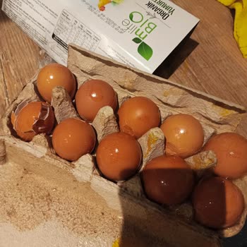 Kırık Yumurtalar Ve Yanlış Ürün Gönderimi Sonrası Yetersiz Müşteri Hizmeti