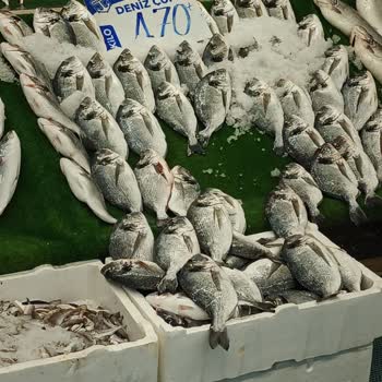 Etiket Ve Kasa Fiyatı Arasındaki Farka Ve İade Engeline Karşı Mağduriyet