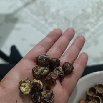 Eki aç