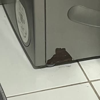 Siemens Çamaşır Makinesi Ve Buzdolabında Erken Küf Sorunu