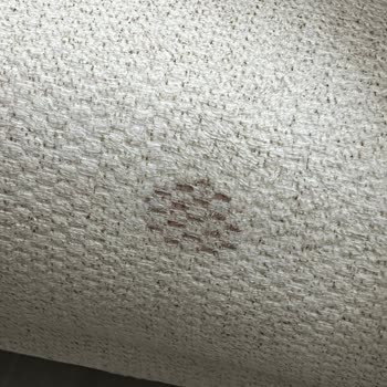 Sıfır Alınan Mondi Koltuk Takımında Defolu Ürün Ve Yetersiz Müşteri Hizmeti