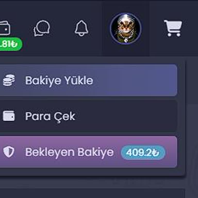 Satış Sonrası Bilgilendirme Eksikliği Ve Geciken Ödeme Nedeniyle Mağduriyet