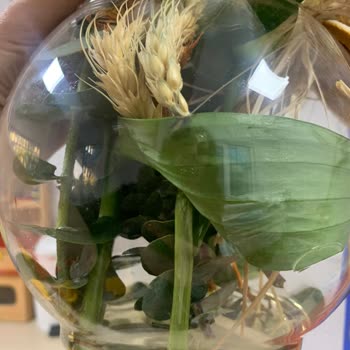 Çiçek Sepeti'nden Tekrarlayan Kalitesiz Ve Bakımsız Çiçek Teslimatı