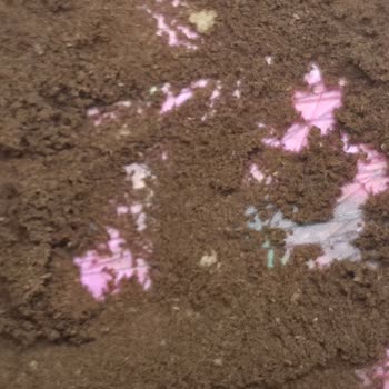 Kuru Kahveci Mehmet Efendi Türk Kahvesinde Böcek Çıkması Ve Gıda Güvenliği Endişesi