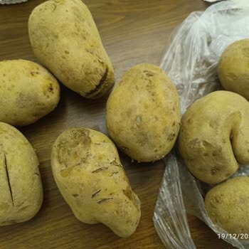 Carrefour SA'dan Çürük Patates Ve Eksik Ürün Teslimatı Hayal Kırıklığı