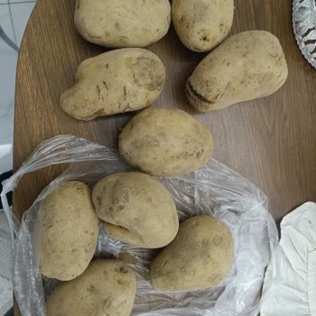 Carrefour SA'dan Çürük Patates Ve Eksik Ürün Teslimatı Hayal Kırıklığı
